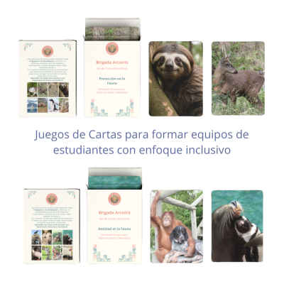 Cartas Brigada Arcoíris